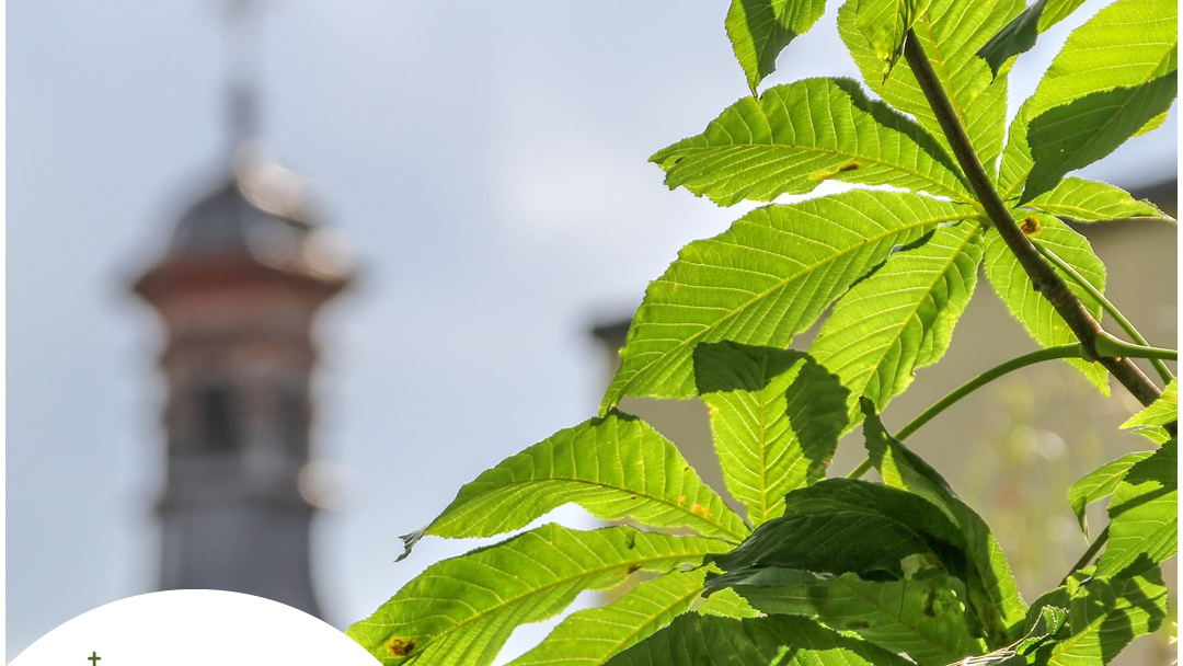Klimaschutz rund um den Kirchturm