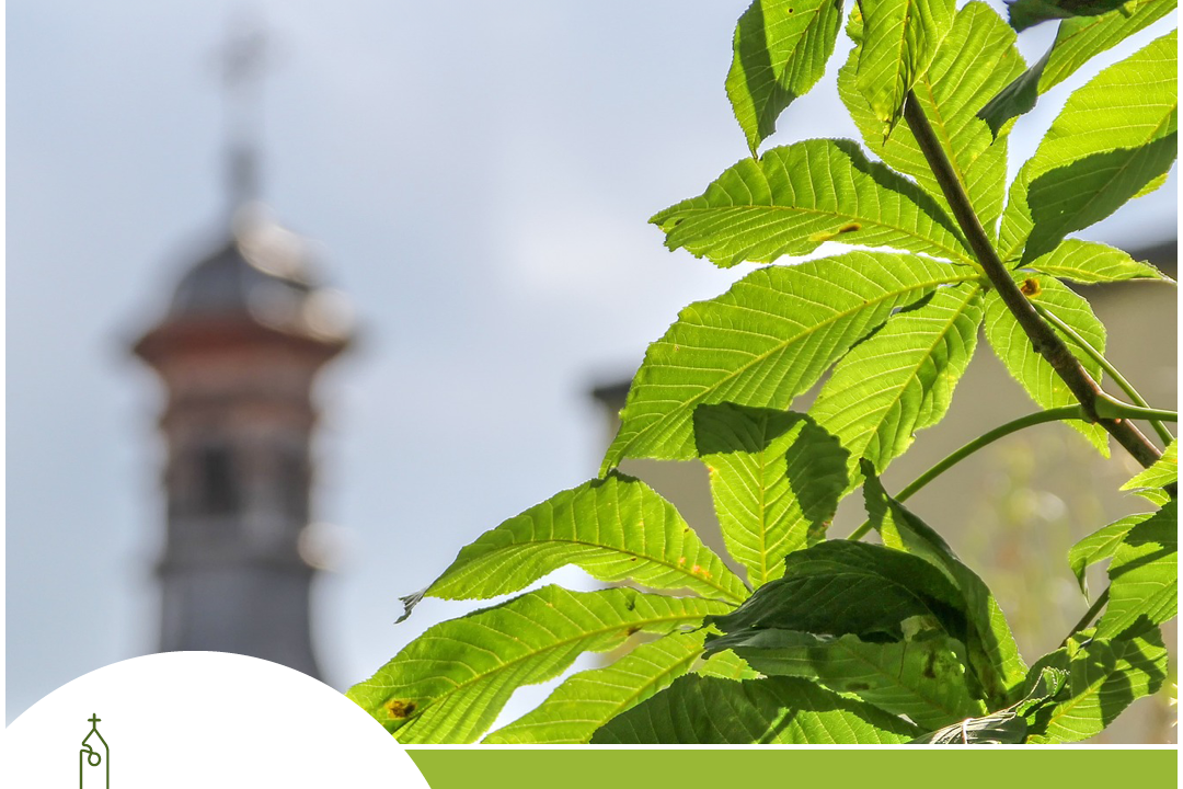 Klimaschutz rund um den Kirchturm